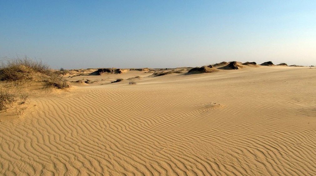 Oleshky Sands, Kherson Oblast, Ukraine